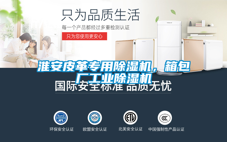 国产精品探花在线观看 淮安皮革专用除湿机，箱包厂工业除湿机