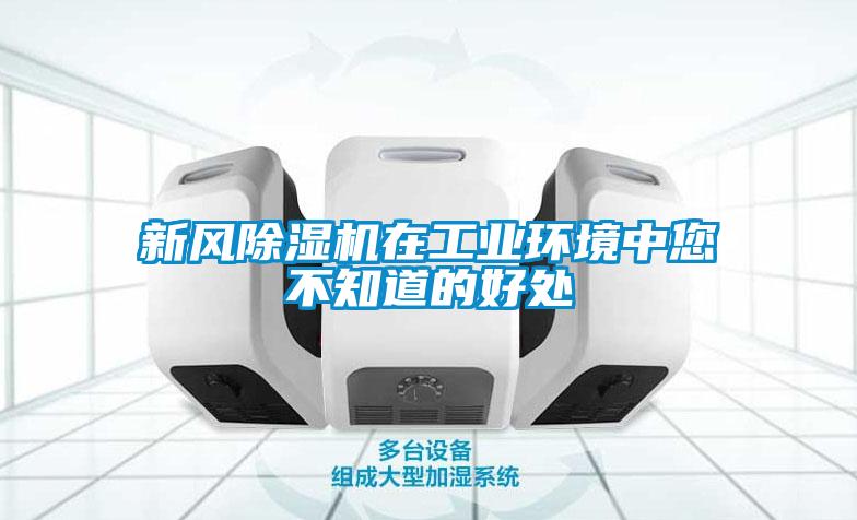国产精品三级在线观看 新风除湿机在工业环境中您不知道的好处