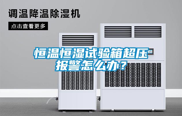 国产精品欧美激情视频 恒温恒湿试验箱超压报警怎么办？