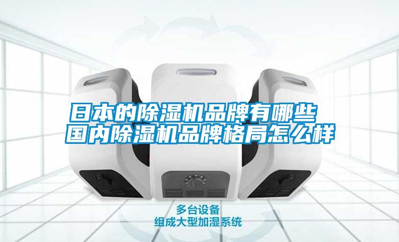 国产精品三级在线观看 日本的除湿机品牌有哪些 国内除湿机品牌格局怎么样