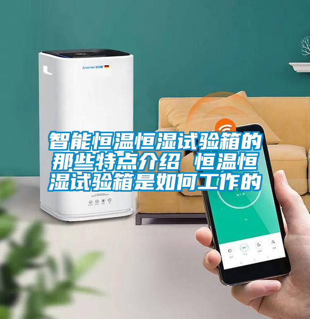 国产精品欧美激情视频 智能恒温恒湿试验箱的那些特点介绍 恒温恒湿试验箱是如何工作的