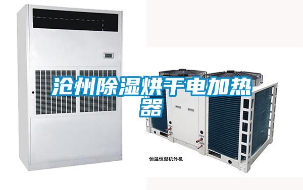 国产精品欧美激情视频 沧州除湿烘干电加热器