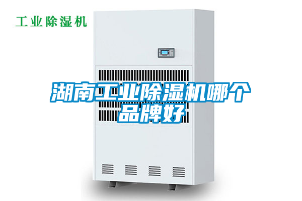 国产精品三级在线观看 湖南工业除湿机哪个品牌好