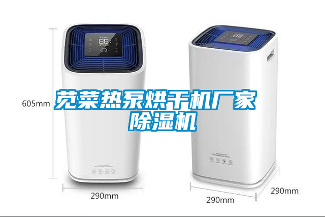 国产精品三级在线观看 苋菜热泵烘干机厂家 除湿机