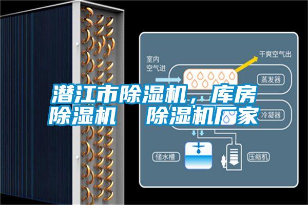国产精品欧美激情视频 潜江市除湿机，库房除湿机  除湿机厂家