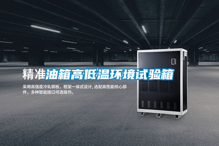 国产精品探花在线观看 油箱高低温环境试验箱