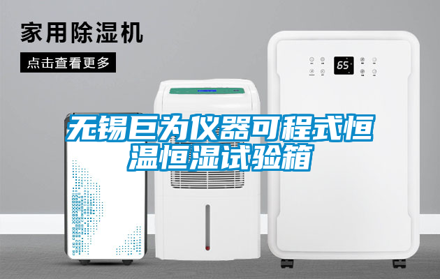 国产精品三级在线观看 无锡巨为仪器可程式恒温恒湿试验箱