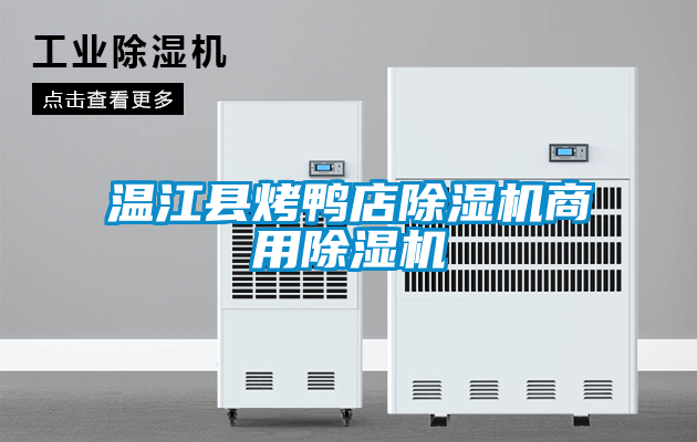 国产精品探花在线观看 温江县烤鸭店除湿机商用除湿机