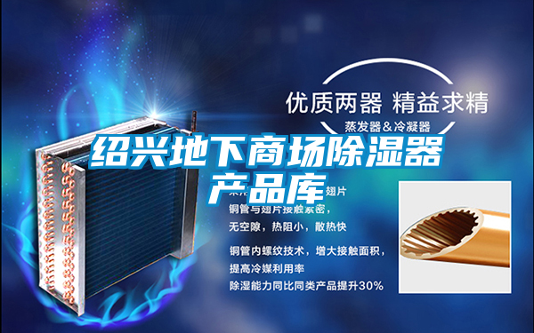 国产精品三级在线观看 绍兴地下商场除湿器产品库