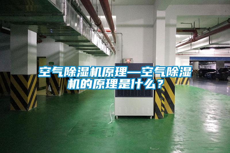国产精品探花在线观看 空气除湿机原理—空气除湿机的原理是什么？