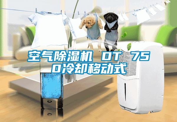 国产精品三级在线观看 空气除湿机 DT 750冷却移动式