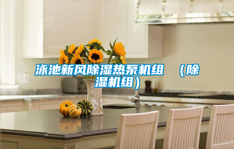 国产精品探花在线观看 泳池新风除湿热泵机组 （除湿机组）