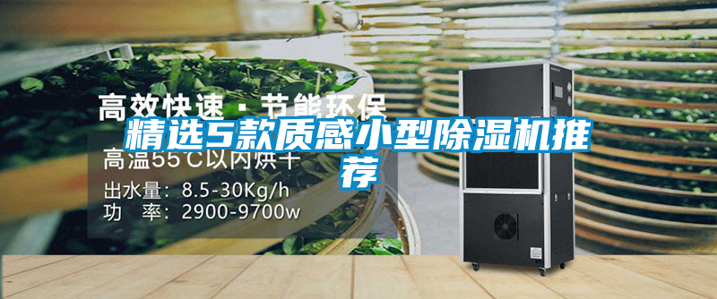 国产精品三级在线观看 精选5款质感小型除湿机推荐