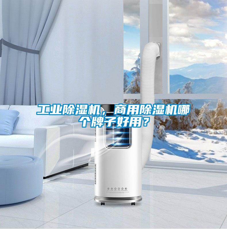 国产精品欧美激情视频 工业除湿机，商用除湿机哪个牌子好用？