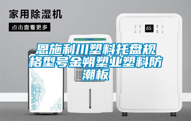 国产精品探花在线观看 恩施利川塑料托盘规格型号金朔塑业塑料防潮板