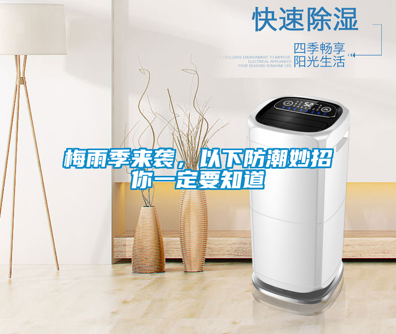 国产精品欧美激情视频 梅雨季来袭，以下防潮妙招你一定要知道