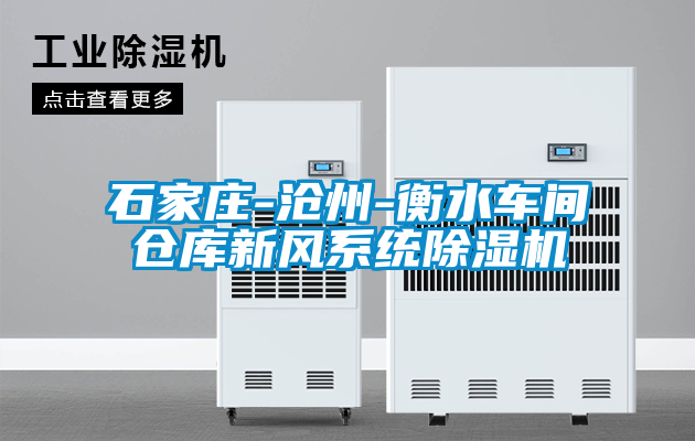 国产精品欧美激情视频 石家庄-沧州-衡水车间仓库新风系统除湿机