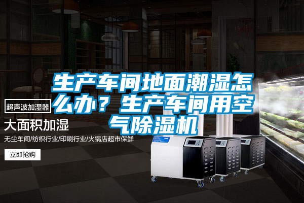国产精品三级在线观看 生产车间地面潮湿怎么办？生产车间用空气除湿机