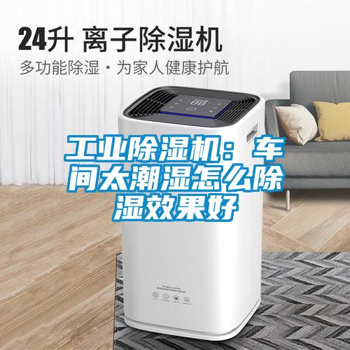 国产精品三级在线观看 工业除湿机：车间太潮湿怎么除湿效果好