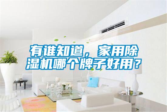 国产精品欧美激情视频 有谁知道，家用除湿机哪个牌子好用？