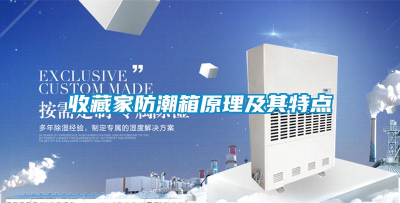 国产精品欧美激情视频 收藏家防潮箱原理及其特点