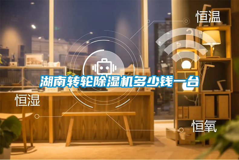 国产精品三级在线观看 湖南转轮除湿机多少钱一台