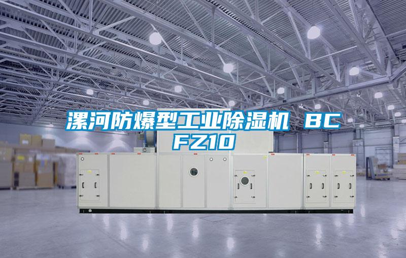 国产精品欧美激情视频 漯河防爆型工业除湿机 BCFZ10
