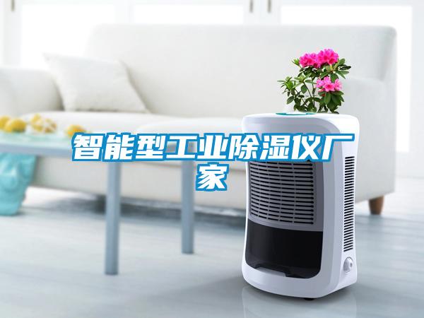 国产精品欧美激情视频 智能型工业除湿仪厂家