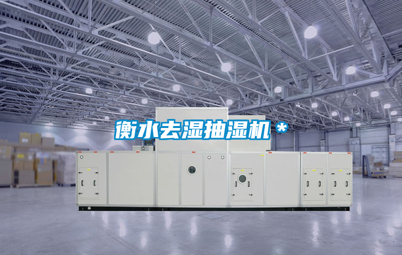国产精品三级在线观看 衡水去湿抽湿机＊