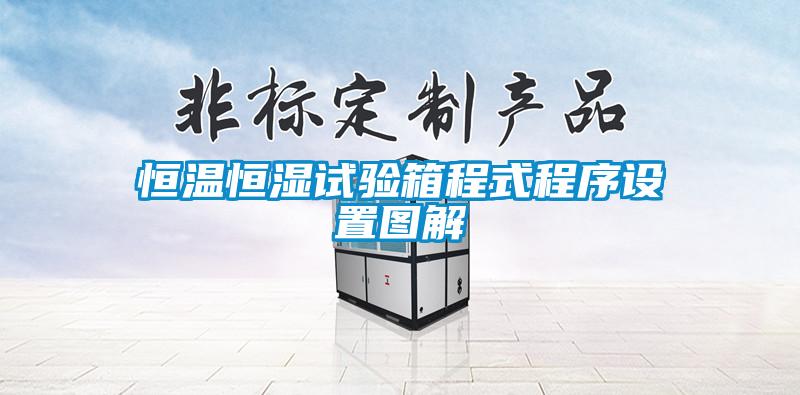国产精品欧美激情视频 恒温恒湿试验箱程式程序设置图解