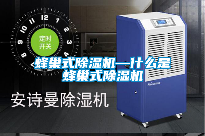 国产精品欧美激情视频 蜂巢式除湿机—什么是蜂巢式除湿机