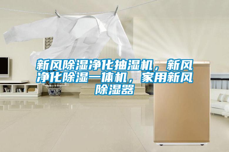国产精品欧美激情视频 新风除湿净化抽湿机，新风净化除湿一体机，家用新风除湿器