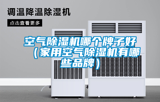 国产精品探花在线观看 空气除湿机哪个牌子好（家用空气除湿机有哪些品牌）