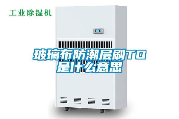 国产精品探花在线观看 玻璃布防潮层刷TO是什么意思