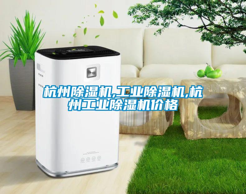 国产精品三级在线观看 杭州除湿机,工业除湿机,杭州工业除湿机价格