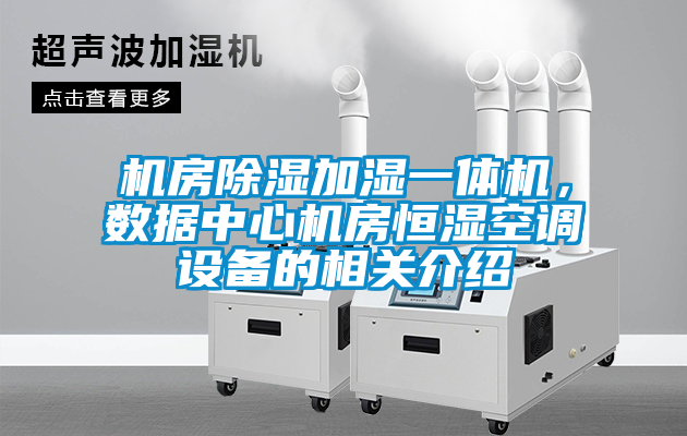 国产精品探花在线观看 机房除湿加湿一体机，数据中心机房恒湿空调设备的相关介绍