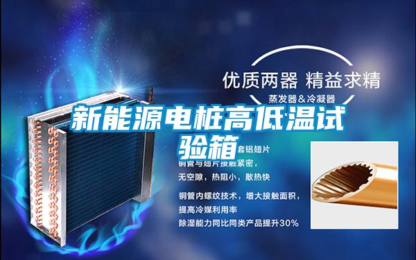 国产精品探花在线观看 新能源电桩高低温试验箱