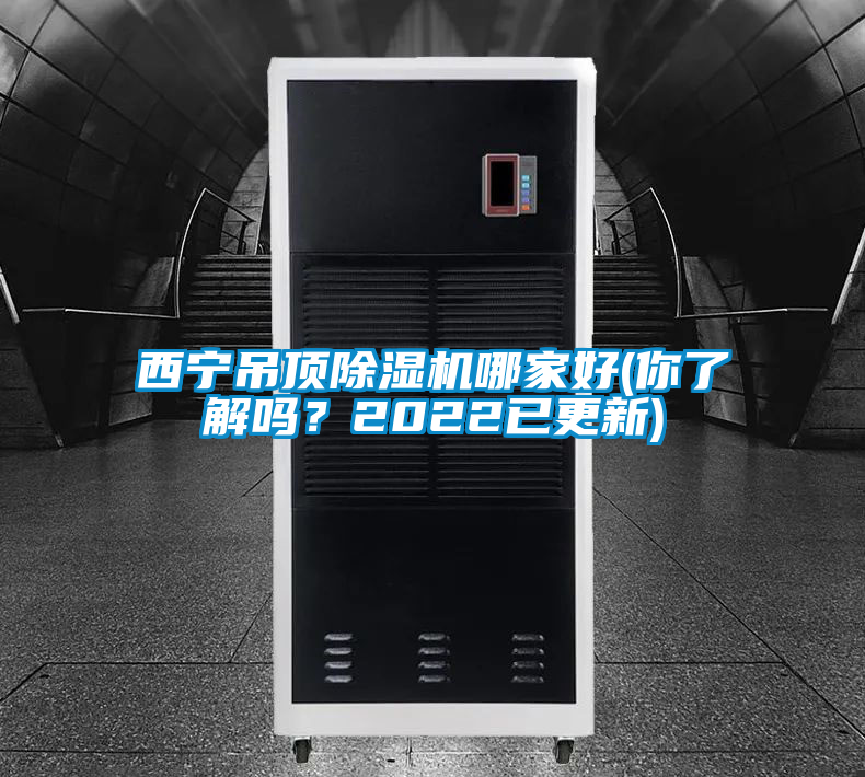 国产精品欧美激情视频 西宁吊顶除湿机哪家好(你了解吗？2022已更新)