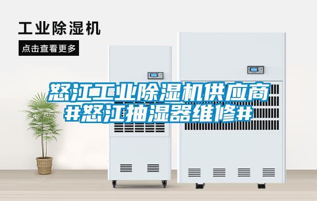 国产精品三级在线观看 怒江工业除湿机供应商#怒江抽湿器维修#