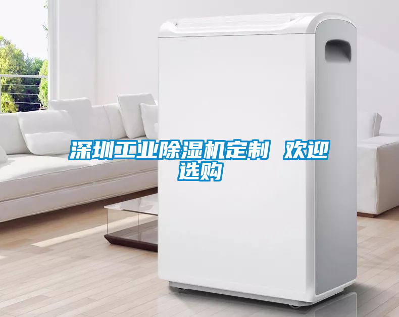 国产精品欧美激情视频 深圳工业除湿机定制 欢迎选购