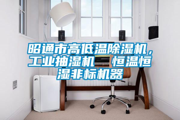 国产精品探花在线观看 昭通市高低温除湿机，工业抽湿机  恒温恒湿非标机器