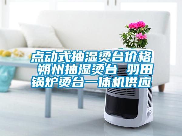 国产精品欧美激情视频 点动式抽湿烫台价格 朔州抽湿烫台 羽田锅炉烫台一体机供应