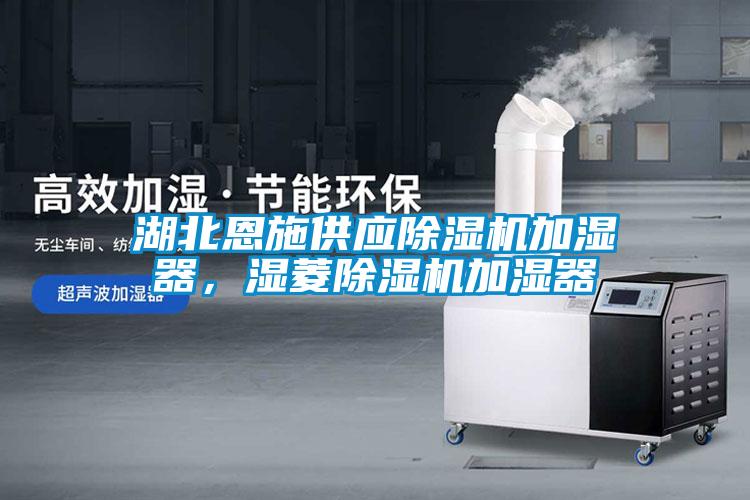 国产精品三级在线观看 湖北恩施供应除湿机加湿器，湿菱除湿机加湿器
