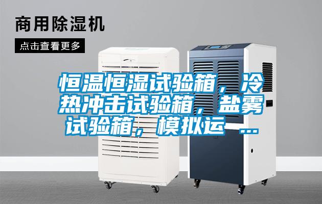 国产精品三级在线观看 恒温恒湿试验箱，冷热冲击试验箱，盐雾试验箱，模拟运 ...