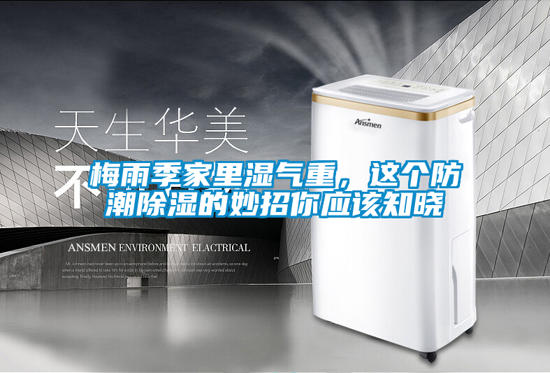 国产精品探花在线观看 梅雨季家里湿气重，这个防潮除湿的妙招你应该知晓