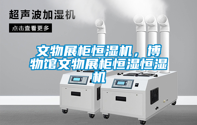国产精品探花在线观看 文物展柜恒湿机，博物馆文物展柜恒湿恒湿机