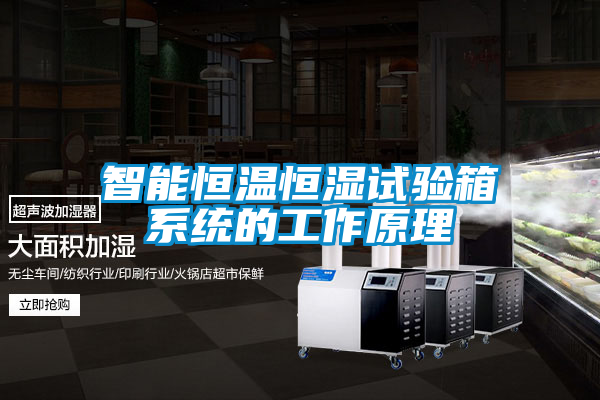 国产精品三级在线观看 智能恒温恒湿试验箱系统的工作原理