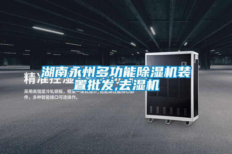 国产精品三级在线观看 湖南永州多功能除湿机装置批发,去湿机