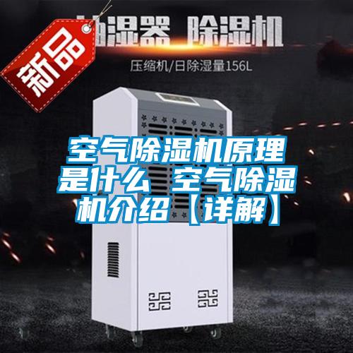 国产精品三级在线观看 空气除湿机原理是什么 空气除湿机介绍【详解】