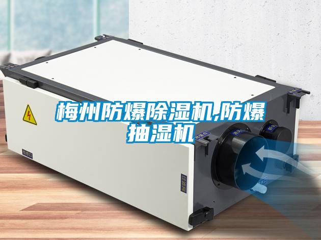 国产精品欧美激情视频 梅州防爆除湿机,防爆抽湿机